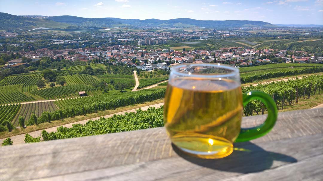Foto 2 von Weingut Mayer