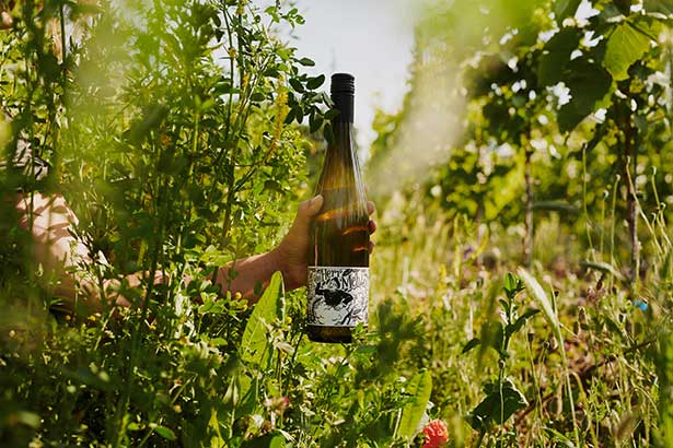 Foto 1 von Weingut Mehling