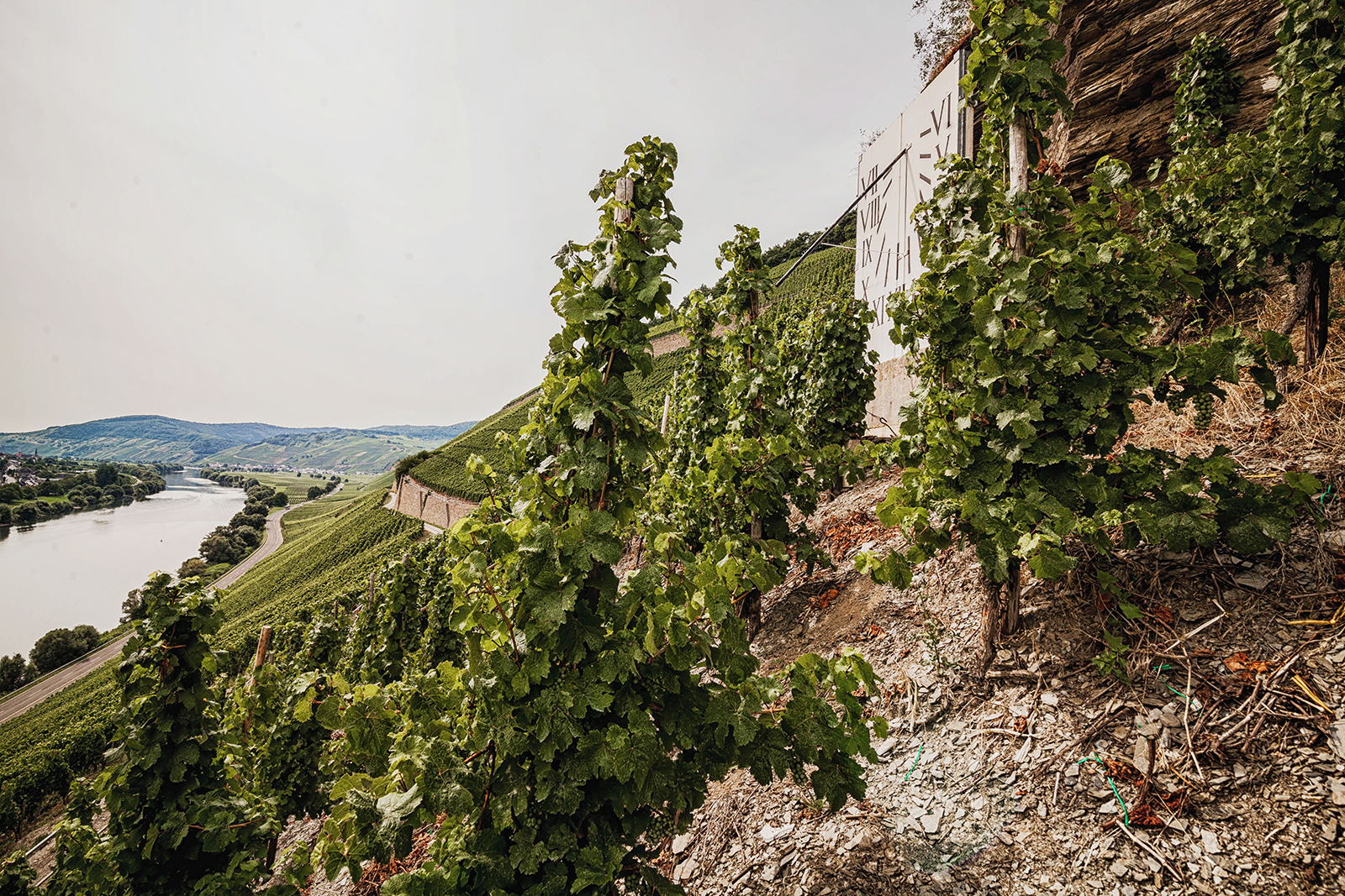 Weingut Meierer