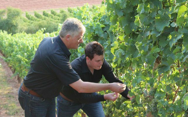 Foto 5 von Weingut Merz