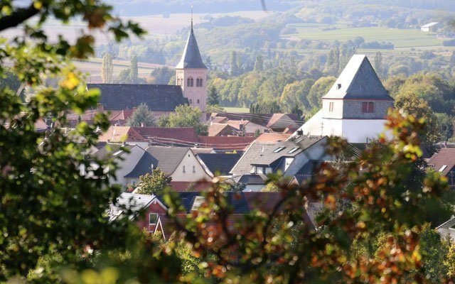 Foto 7 von Weingut Merz