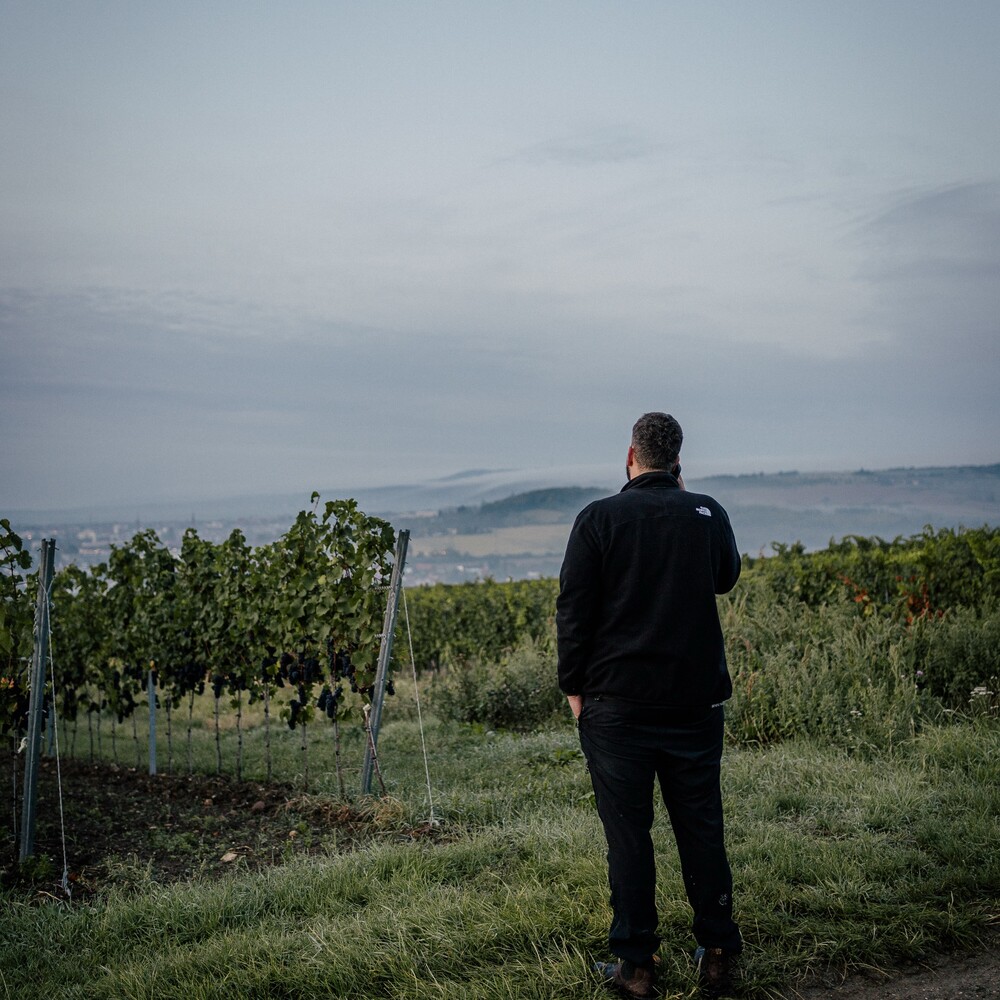Foto 5 von Weingut Metzger