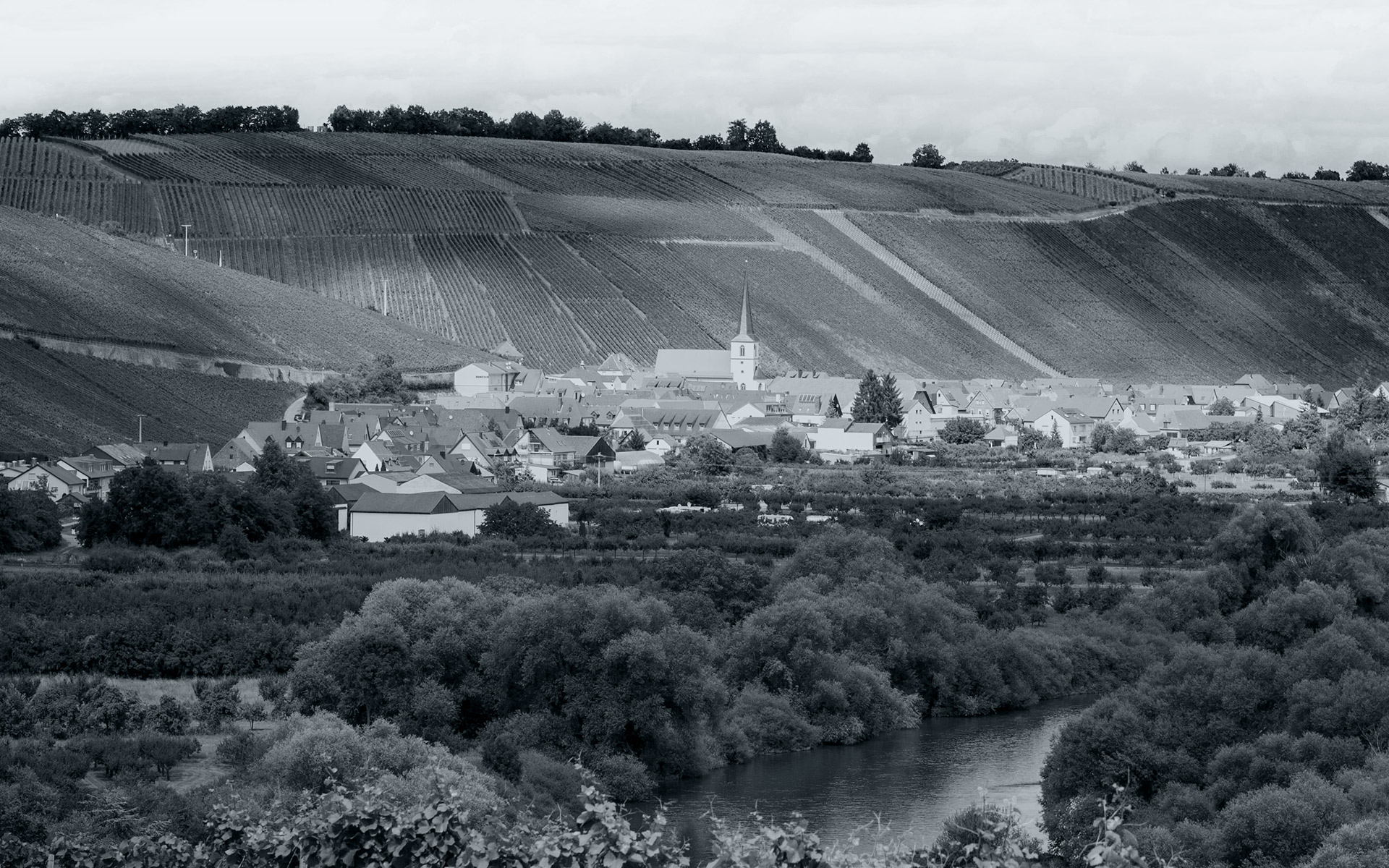 Weingut Michael Fröhlich