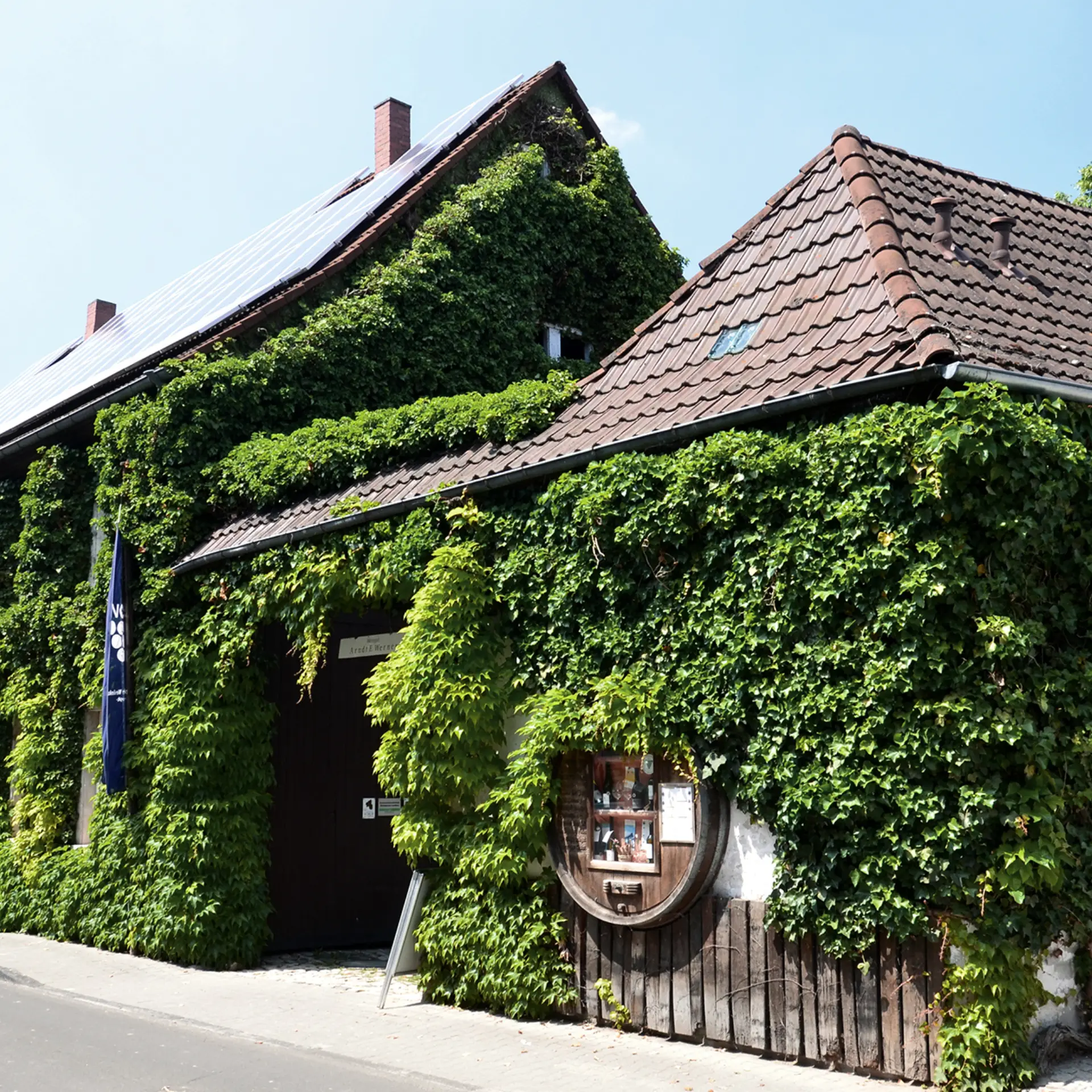 Foto 4 von Öko-Weingut A.F. Werner