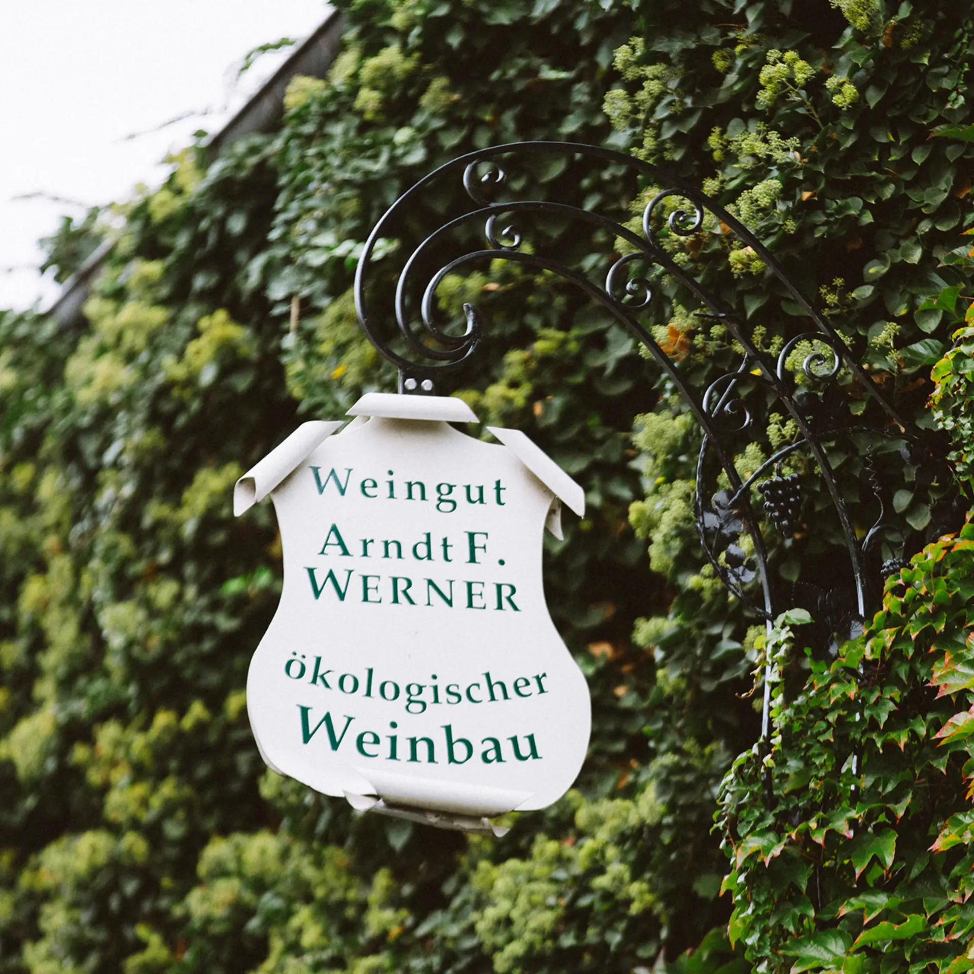 Foto 2 von Öko-Weingut A.F. Werner