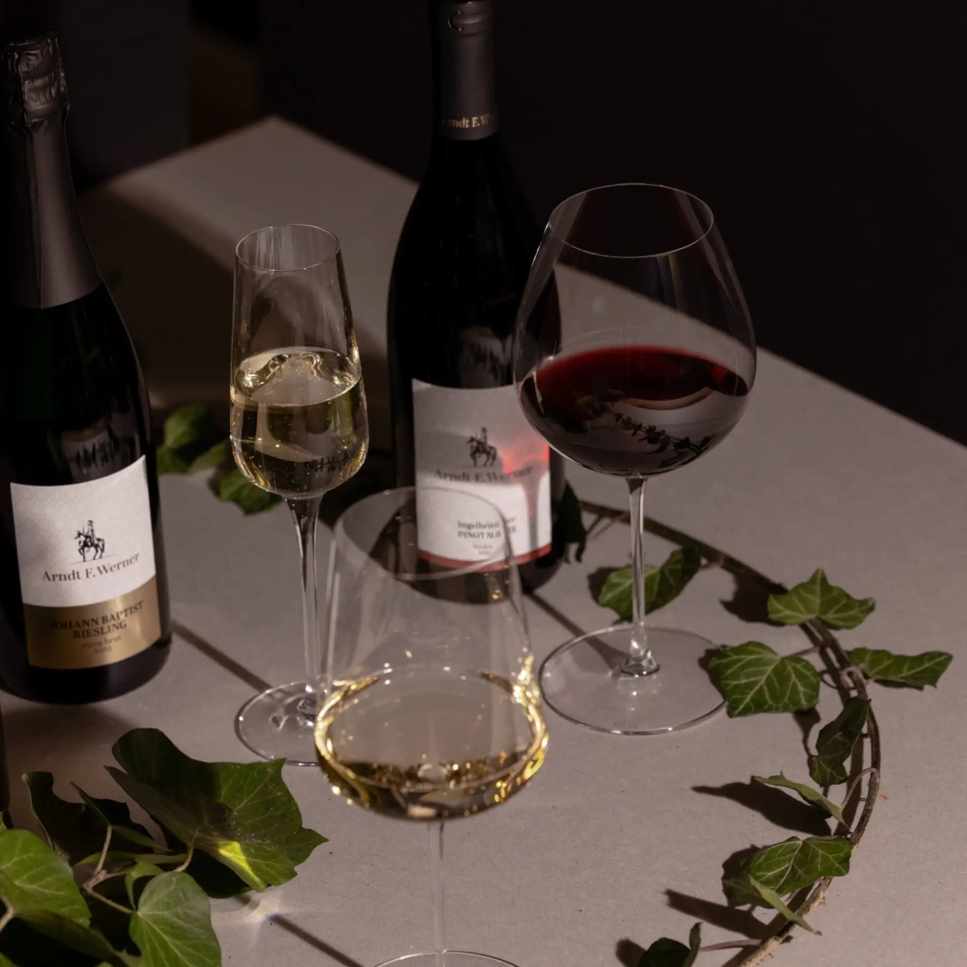 Foto 6 von Öko-Weingut A.F. Werner