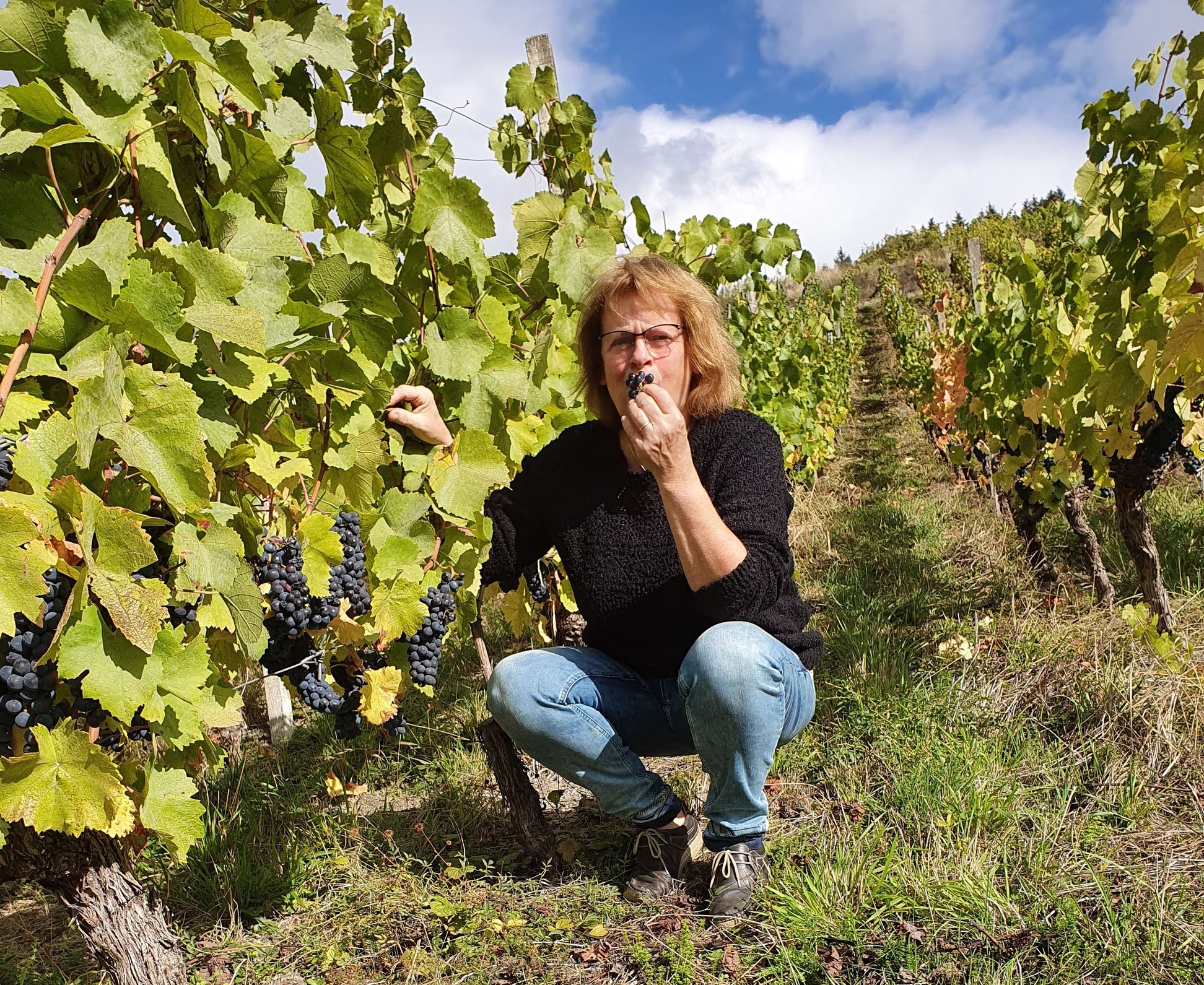 Foto 1 von Weingut Michael Rößler
