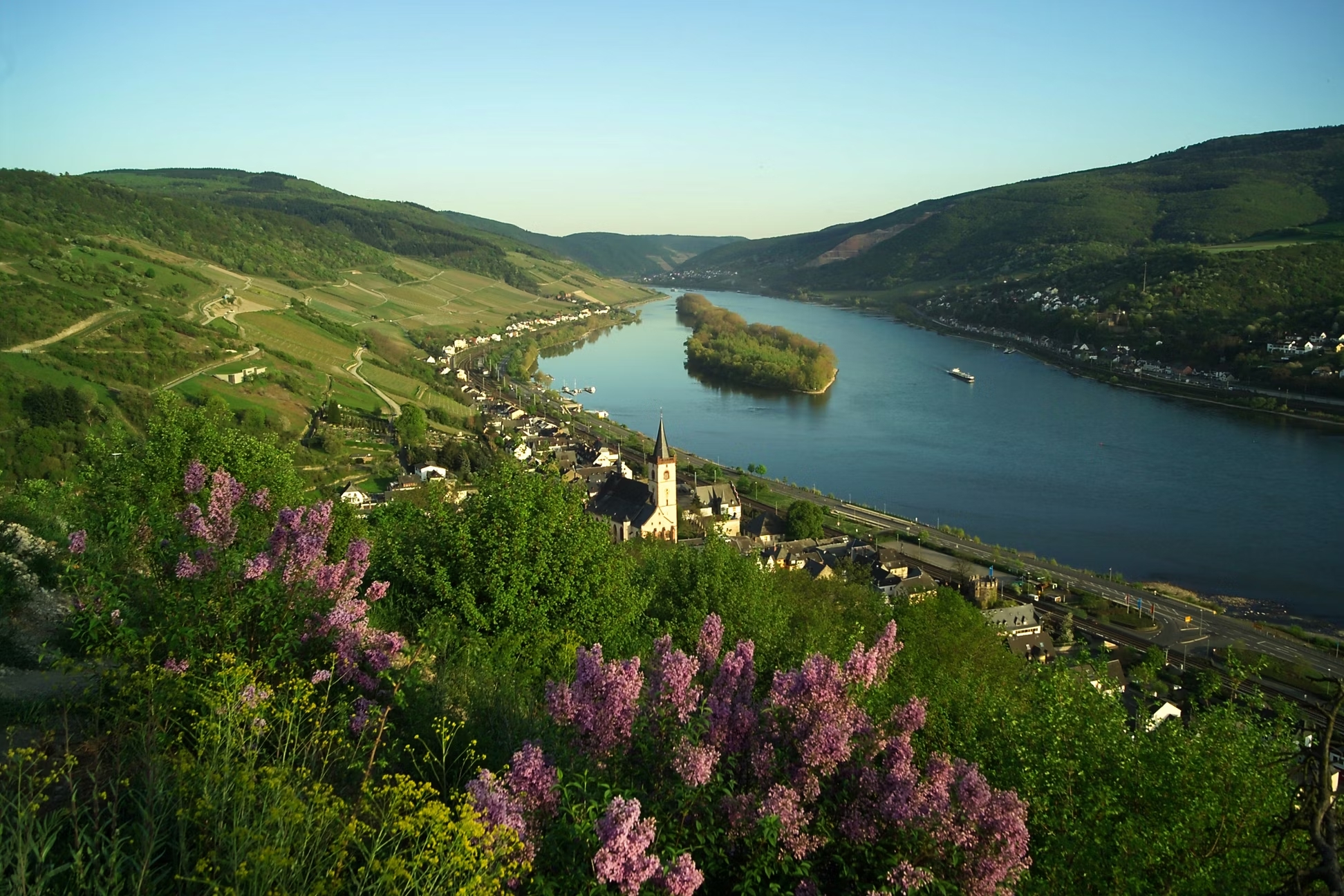 Foto 4 von Weingut Michael Rößler
