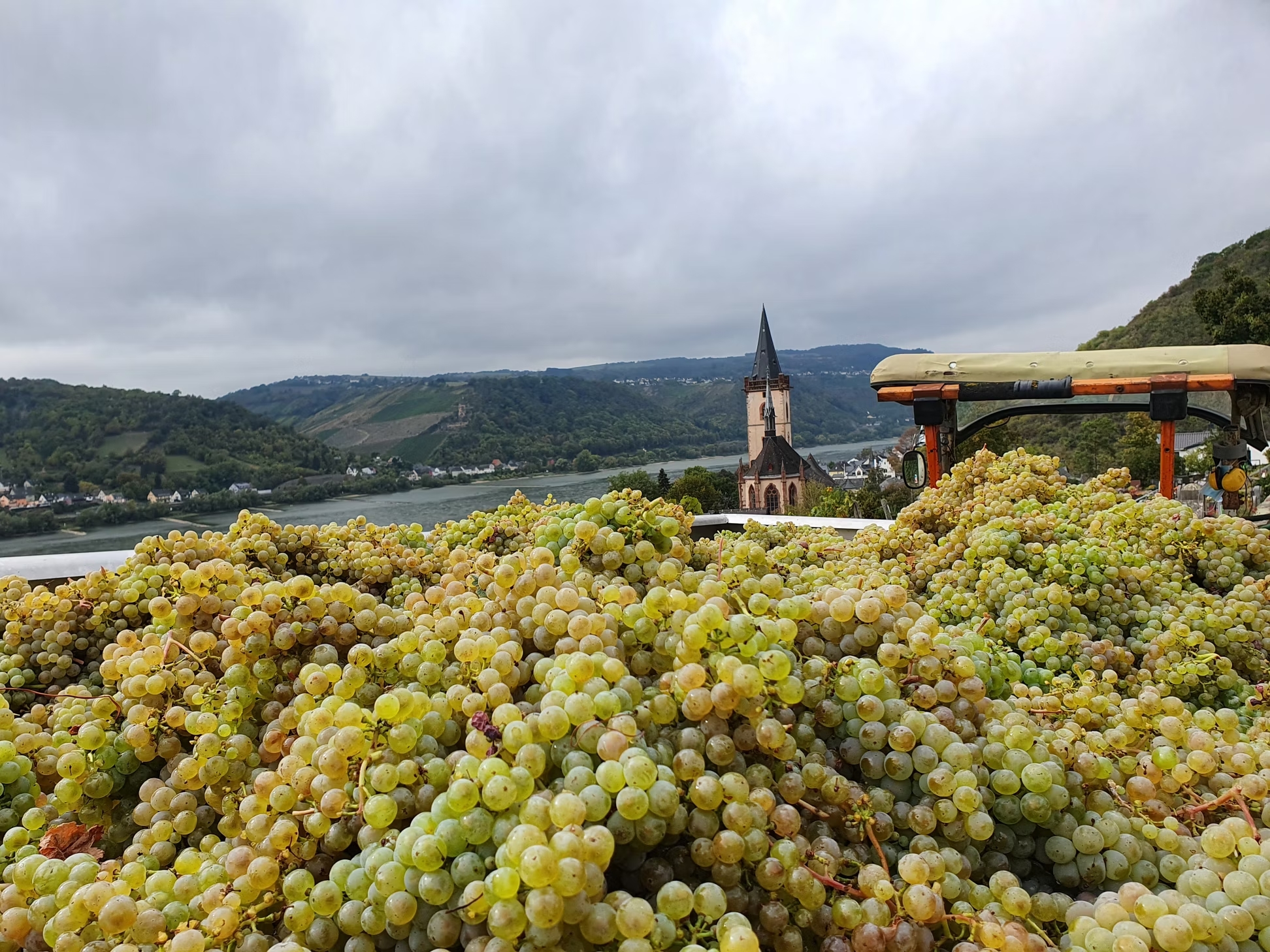 Foto 5 von Weingut Michael Rößler