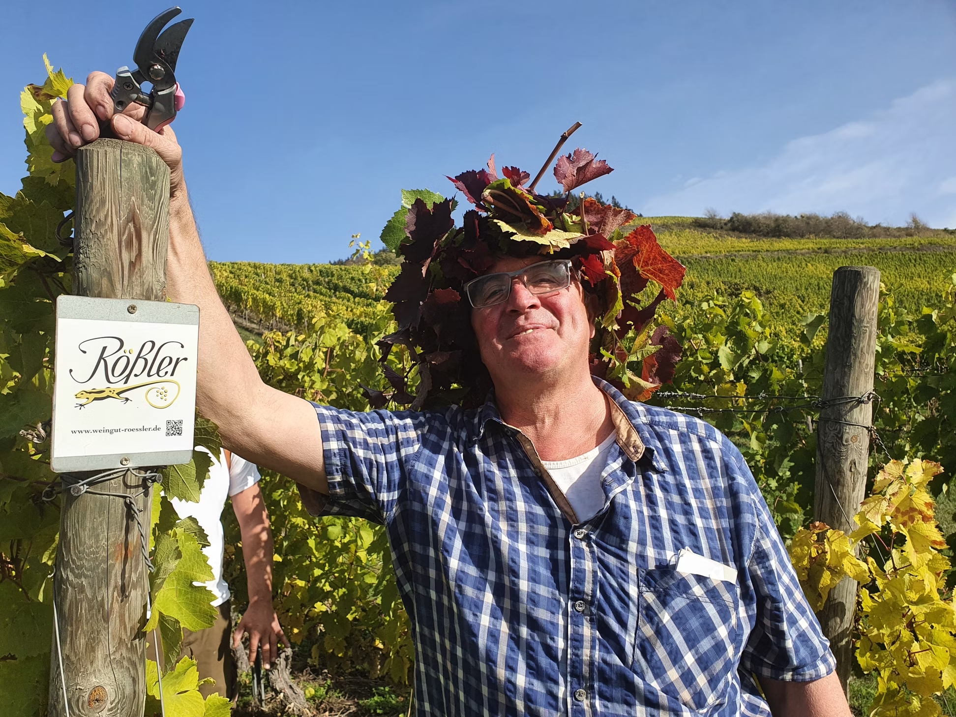 Foto 2 von Weingut Michael Rößler