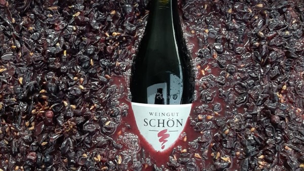 Foto 5 von Weingut Michael Schön