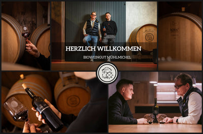 Foto 6 von Weingut Mühlmichel