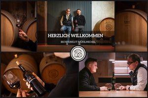 Foto 5 von Weingut Mühlmichel