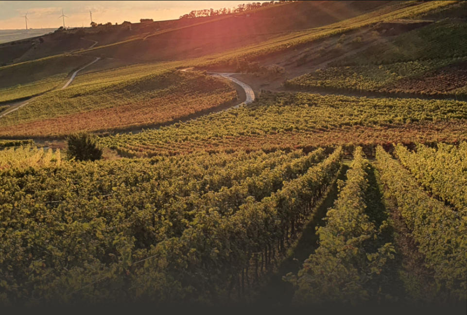 Weingut Münzenberger