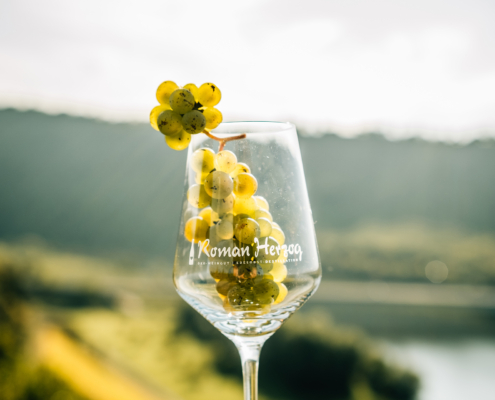 Foto 4 von Öko-Weingut Roman Herzog