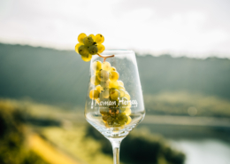 Foto 3 von Öko-Weingut Roman Herzog