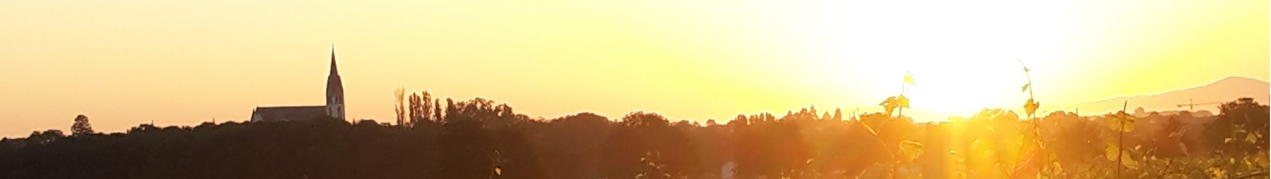 Weingut Nibelungenhof