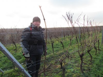 Foto 6 von Weingut Nibelungenhof