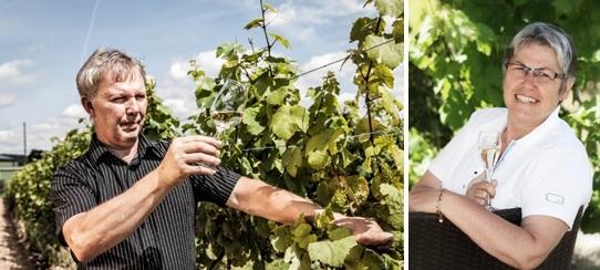 Foto 1 von Weingut Nikolaus Klaus Thul