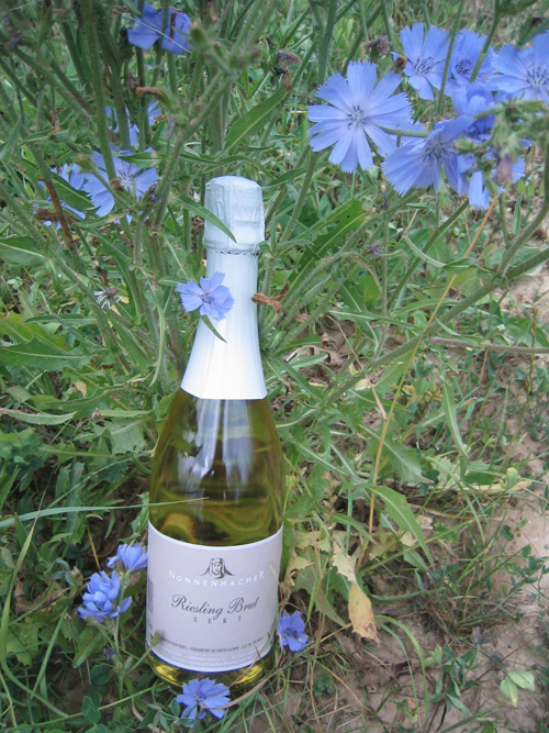 Foto 1 von Weingut Nonnenmacher