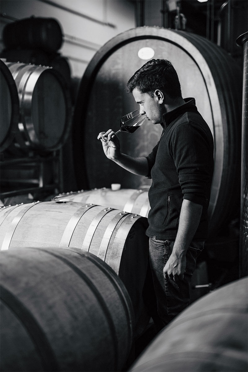 Foto 7 von Weingut Oberhofer