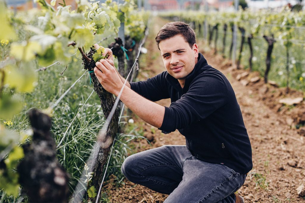 Foto 4 von Weingut Oberhofer