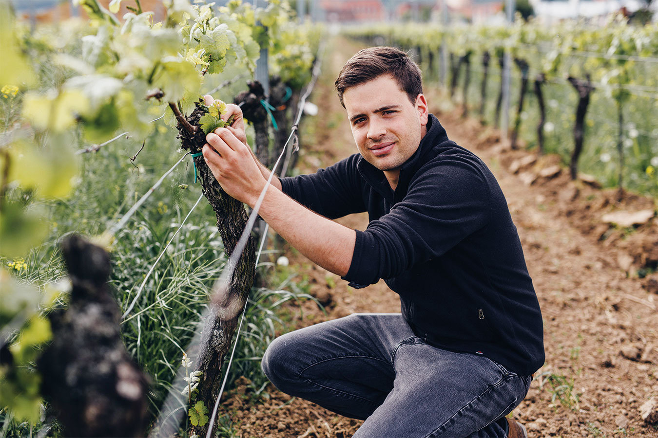 Foto 1 von Weingut Oberhofer