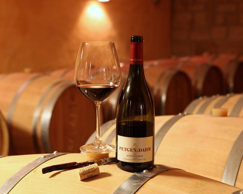 Foto 4 von Weingut Ökonomierat Ralf Petgen-Dahm