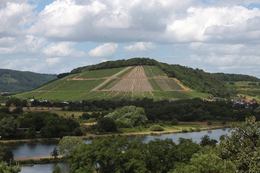Foto 5 von Weingut Ökonomierat Ralf Petgen-Dahm