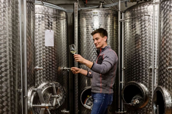 Foto 5 von Weingut Offenstein Erben