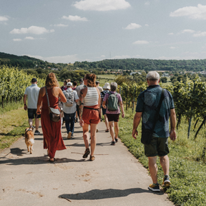 Foto 5 von Weingut Ollinger-Gelz