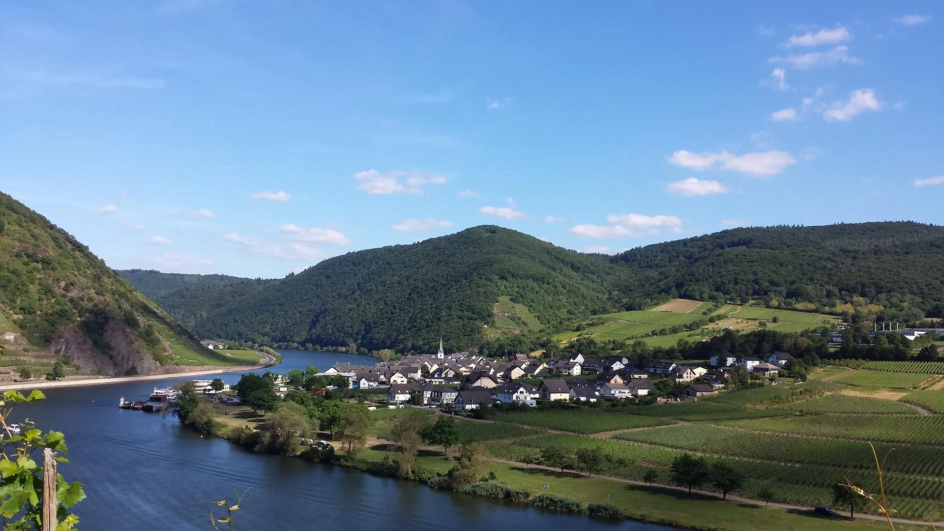 Weingut Oswald Friederich