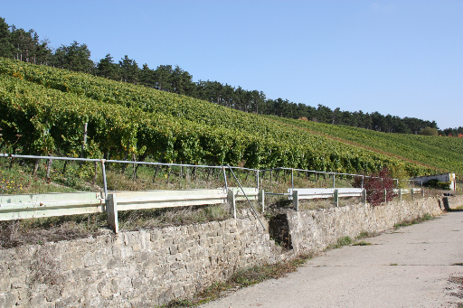 Photo 5 of Weingut Otto Körber