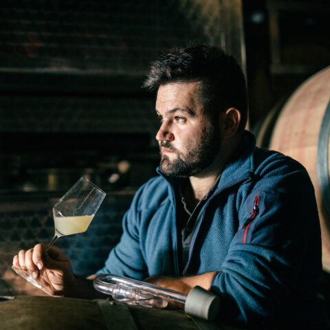Foto 2 von Weingut P.J. Valckenberg GmbH