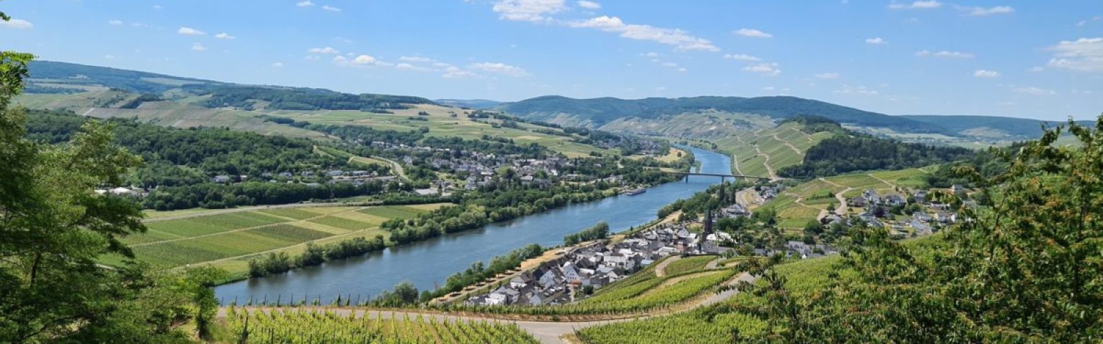 Foto 3 von Weingut P. Stettler - Söhne