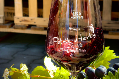 Foto 1 von Weingut Patrik Herty