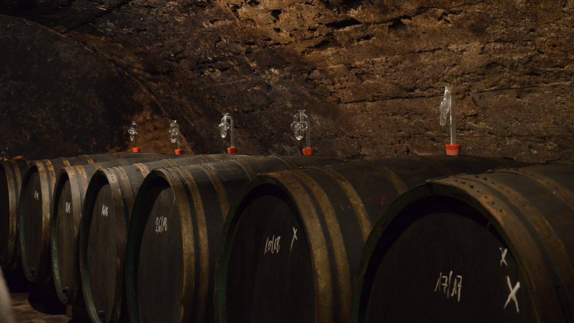 Foto 1 von Weingut Paulinshof
