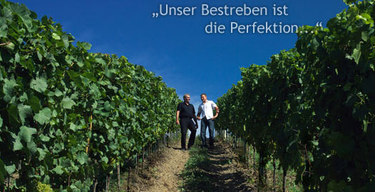 Foto 2 von Ökoweingut Hubertushof GbR