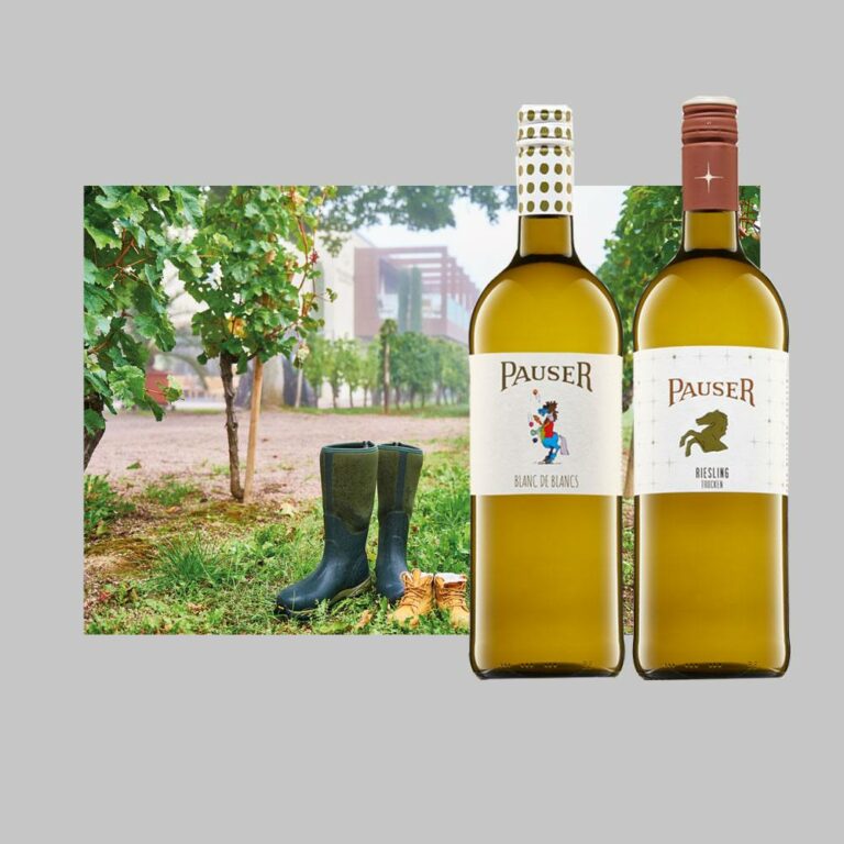 Foto 5 von Weingut Pauser