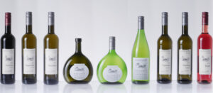 Foto 1 von Weingut-Pension Marienhof