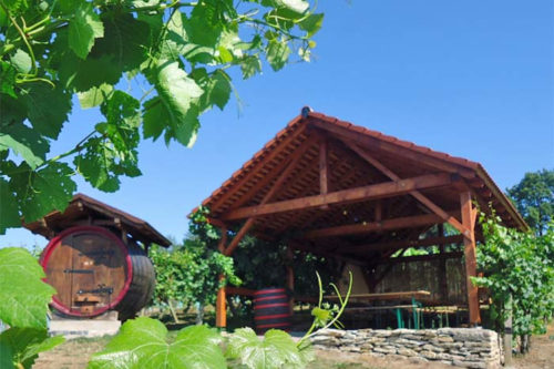 Foto 1 von Weingut Pesterwitz GbR