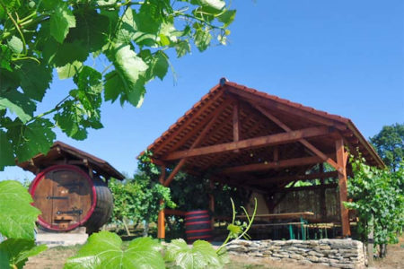 Foto 3 von Weingut Pesterwitz GbR