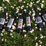 Foto 7 von Ökoweingut Stutz