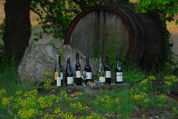 Foto 4 von Weingut Peter Barzen