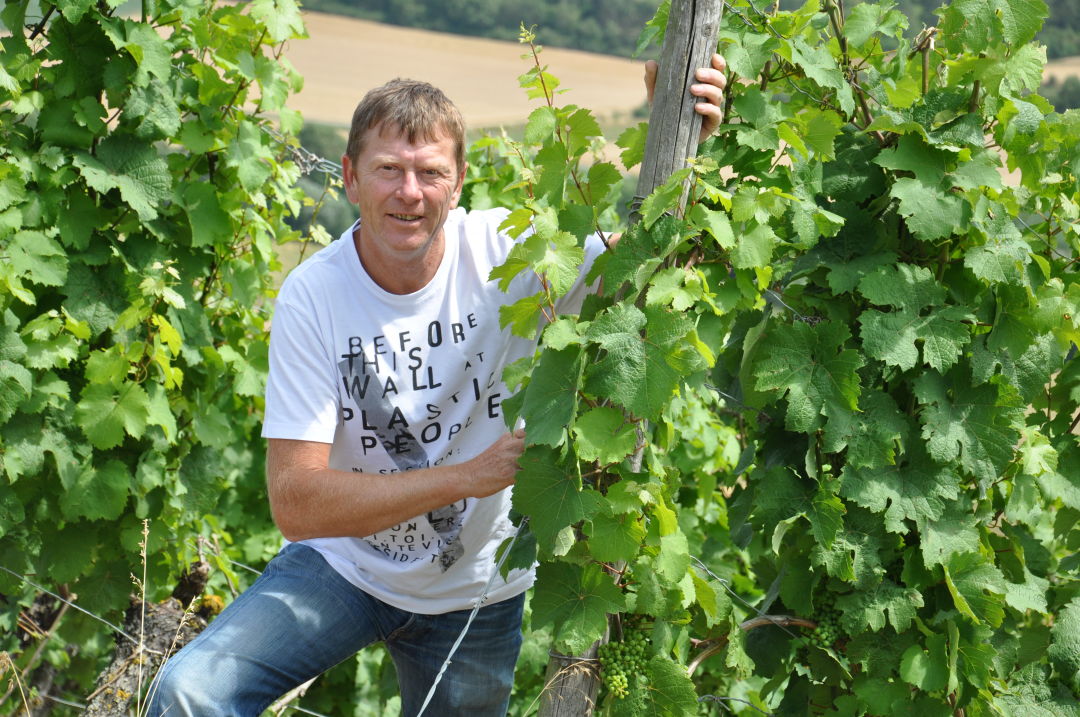 Foto 7 von Weingut Poth