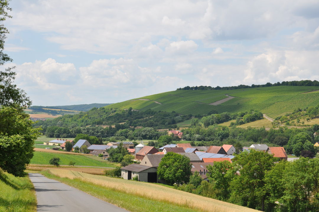 Foto 5 von Weingut Poth