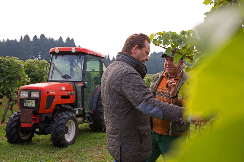 Foto 5 von Weingut- & Privatkellerei Bimmerle KG