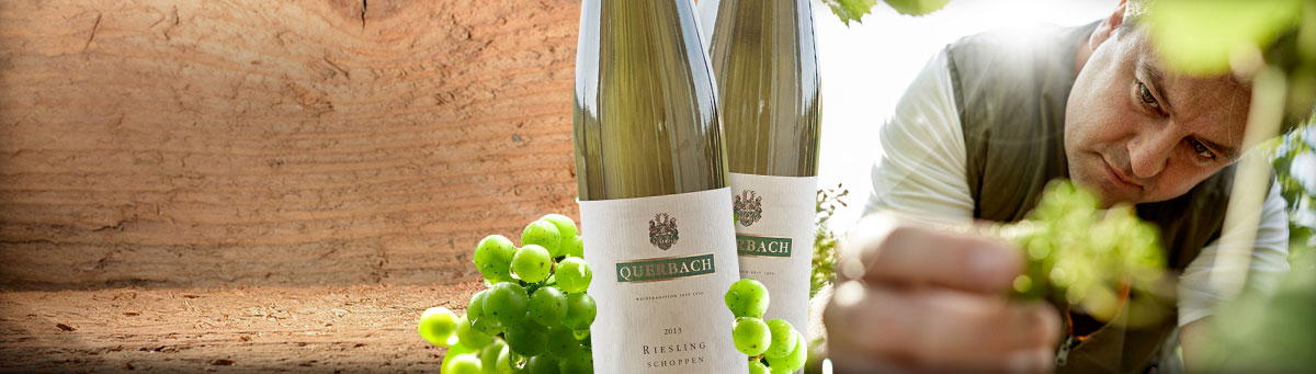 Weingut Querbach