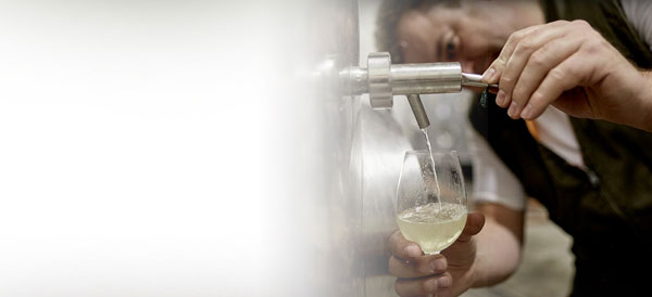 Foto 5 von Weingut Querbach