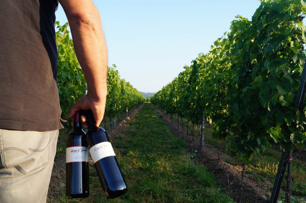 Foto 2 von Weingut R. Thömmes